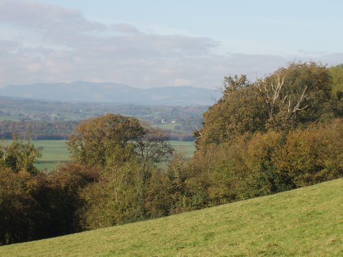 View of Crosthwaite Church from Brigsteer Bee Reserve